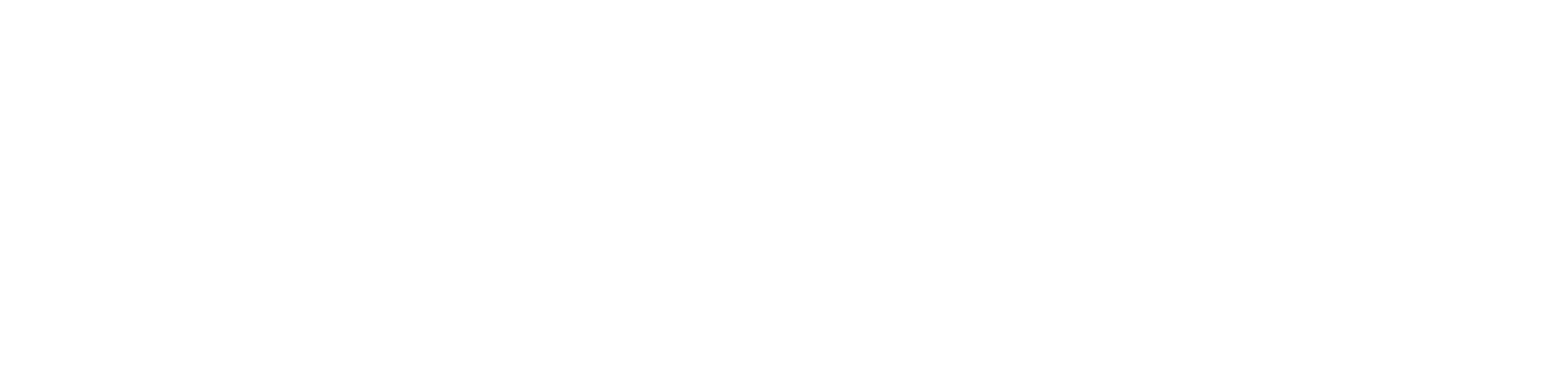 InFlight Corporation logo