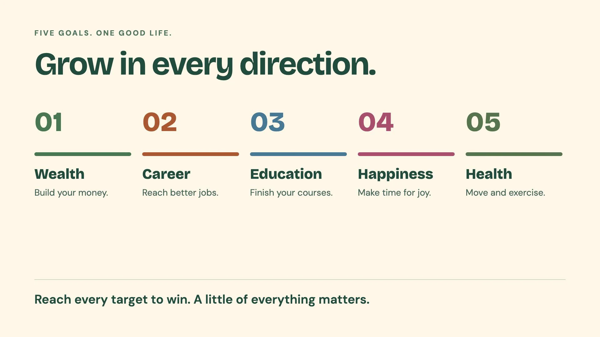The trailer summary explains the five equally weighted goals: wealth, career, education, happiness and health.